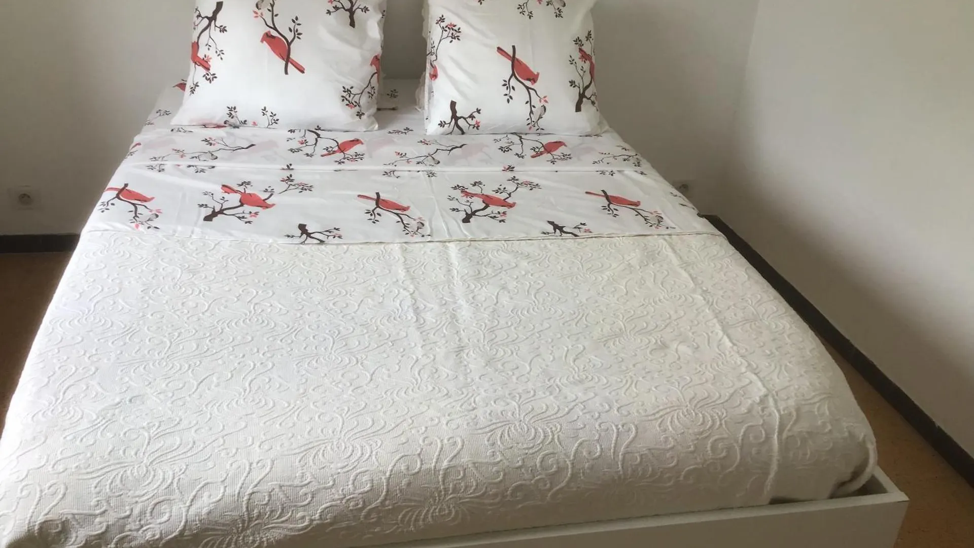 Homestay Ayoug Chambre Individuelle Chez Habitat Carpentras France